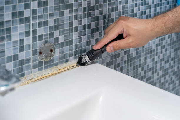 Best Mold Cleaning Services  in Chesterfield, IN
